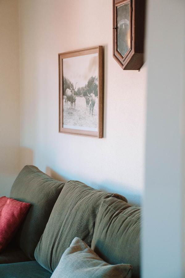 Just Like Home - Casa Antonio Em Paredes De Coura Exterior foto